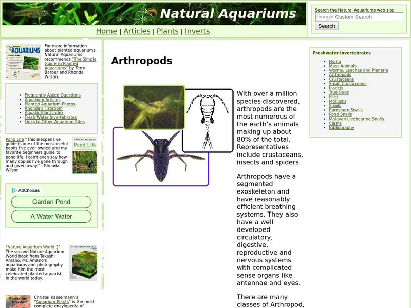 Natural Aquariums: Arthropods Website Natural Aquariums: Arthropods Website