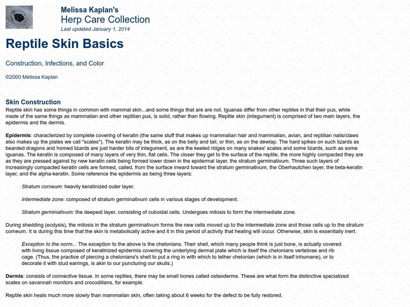 Melissa Kaplan: Reptile Skin Basis Handout Melissa Kaplan: Reptile Skin Basis Handout