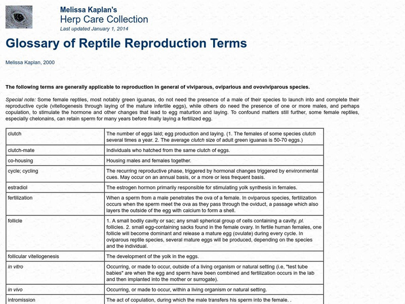 Glossary of Reptile Reproduction Terms Handout Glossary of Reptile Reproduction Terms Handout