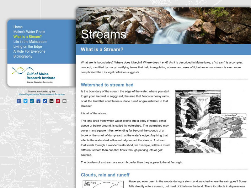 What Is a Stream? Handout What Is a Stream? Handout