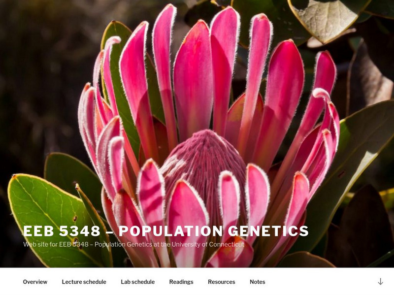 Univ. Of Connecticut: Hardy Weinberg Principle and Estimating Allele Frequencies Handout