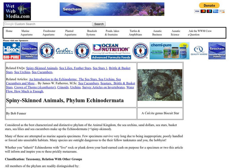 Wet Web Media: Spiny Skinned Animals & Echinodermata Handout Wet Web Media: Spiny Skinned Animals & Echinodermata Handout