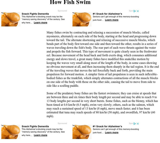 Look D: How Fish Swim Handout Look D: How Fish Swim Handout