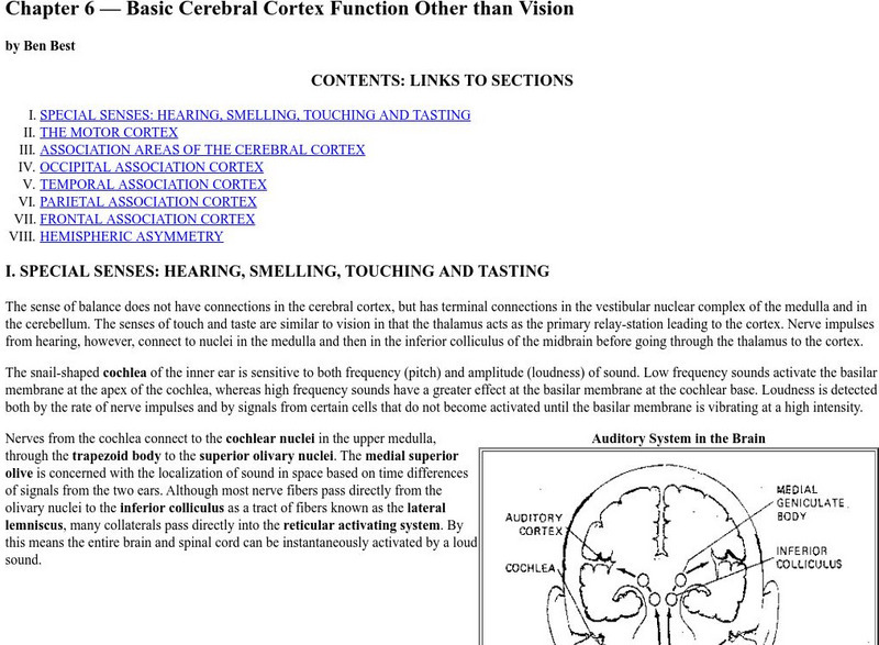Benbest: Cerebral Cortex eBook Benbest: Cerebral Cortex eBook