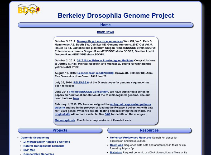 Berkley Drosophila Genome Project Website Berkley Drosophila Genome Project Website
