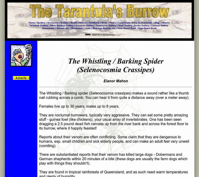 The Tarantula's Burrow: The Whistling / Barking Spider Handout The Tarantula's Burrow: The Whistling / Barking Spider Handout