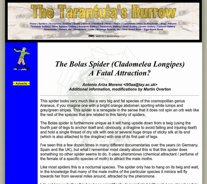 Arachnaphiliac: The Bola Spider a Fatal Attraction? Handout Arachnaphiliac: The Bola Spider a Fatal Attraction? Handout