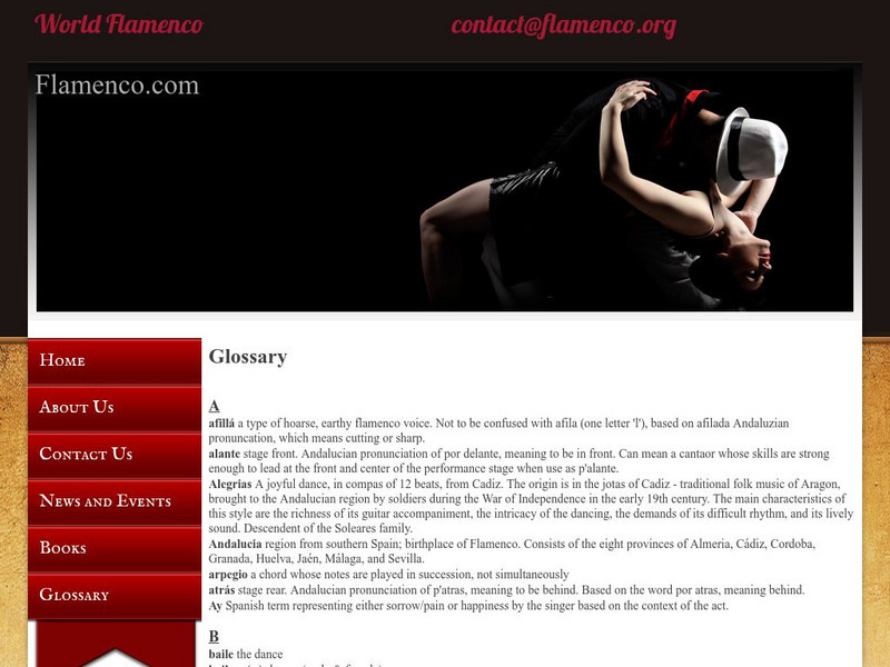 Flamenco Glossary Website