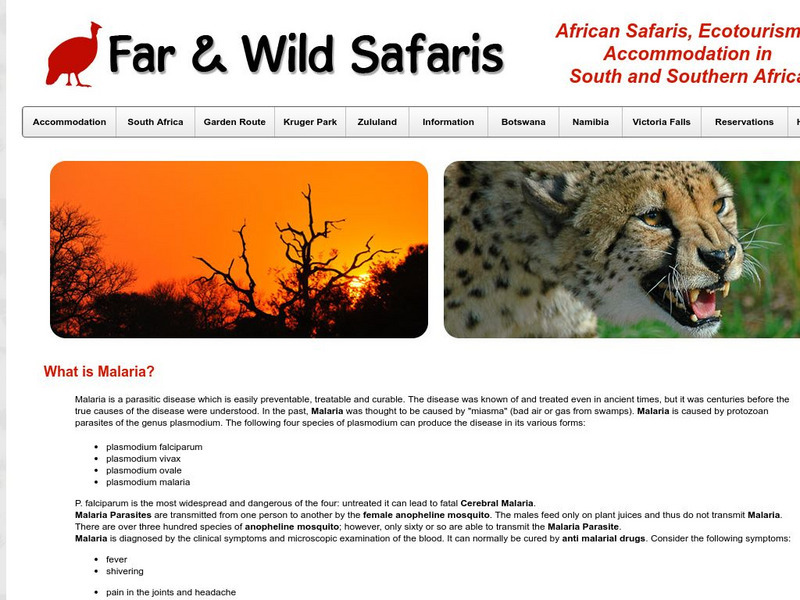 Information on Malaria Website