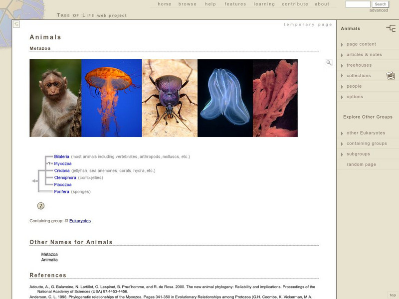 The Tree of Life Web Project: Animals Handout The Tree of Life Web Project: Animals Handout