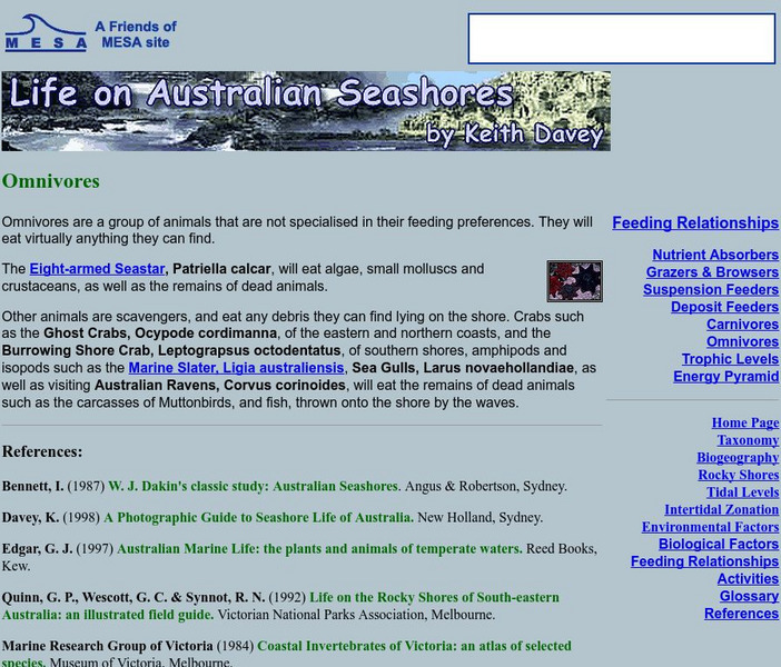 University of New Castle: Omnivores Handout University of New Castle: Omnivores Handout