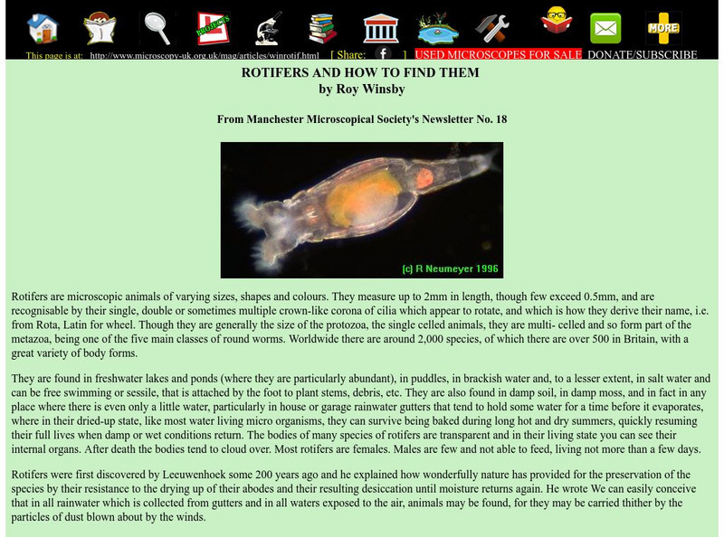 Microscopy Uk: Rotifers and How to Find Them Handout Microscopy Uk: Rotifers and How to Find Them Handout