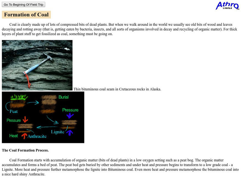 Athro, Limited: Formation of Coal Handout Athro, Limited: Formation of Coal Handout