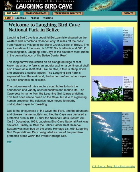 Laughing Bird National Park of Belize Website Laughing Bird National Park of Belize Website