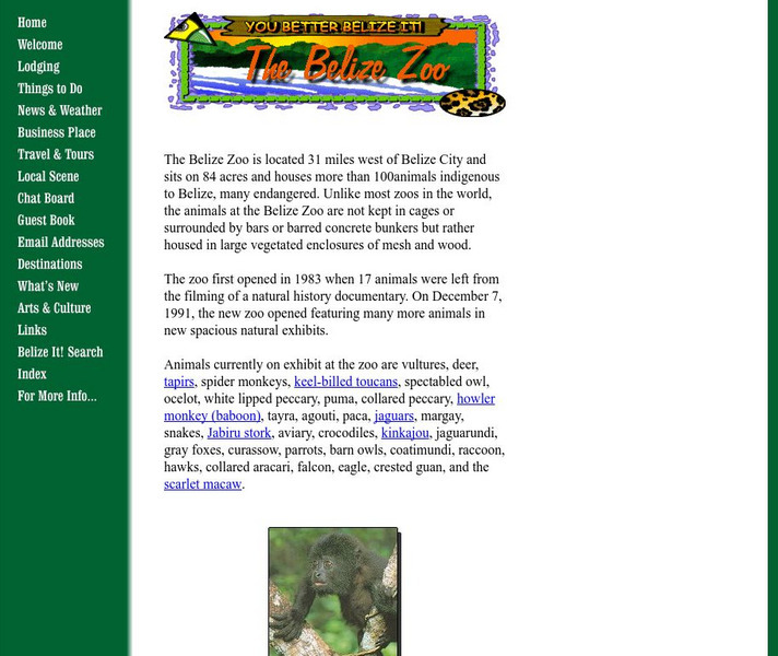 You Better Belize It: The Belize Zoo Website You Better Belize It: The Belize Zoo Website