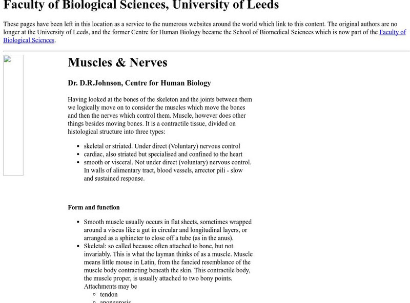 University of Leeds: Muscles & Nerves Handout University of Leeds: Muscles & Nerves Handout