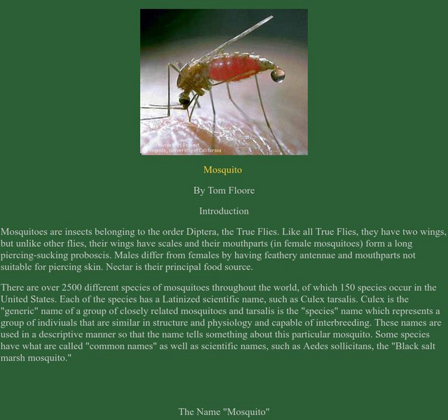 Tom Moore, Mulrennan Research Center/ Mosquito Handout Tom Moore, Mulrennan Research Center/ Mosquito Handout
