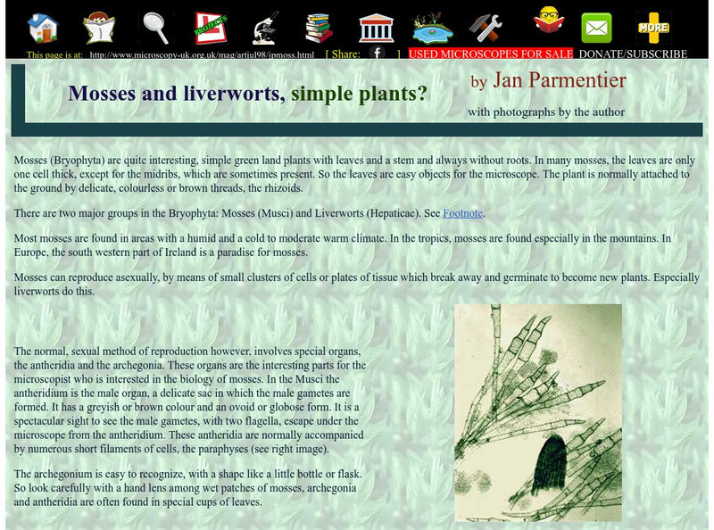 Microscopy Uk: Mosses and Liverworts, Simple Plants? Handout