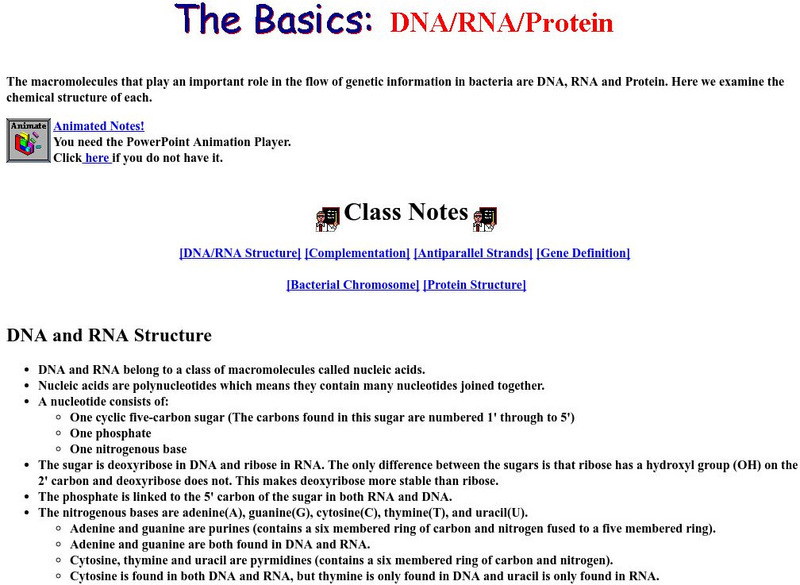 Acadia University: Structure of Dna and Rna Handout Acadia University: Structure of Dna and Rna Handout