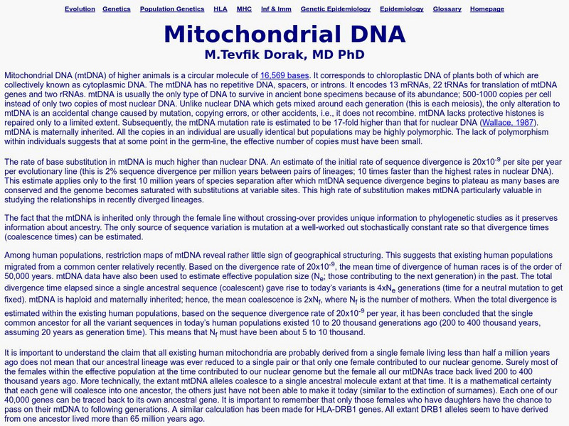 M.tevfik Dorak's: Mitochondrial Dna Handout