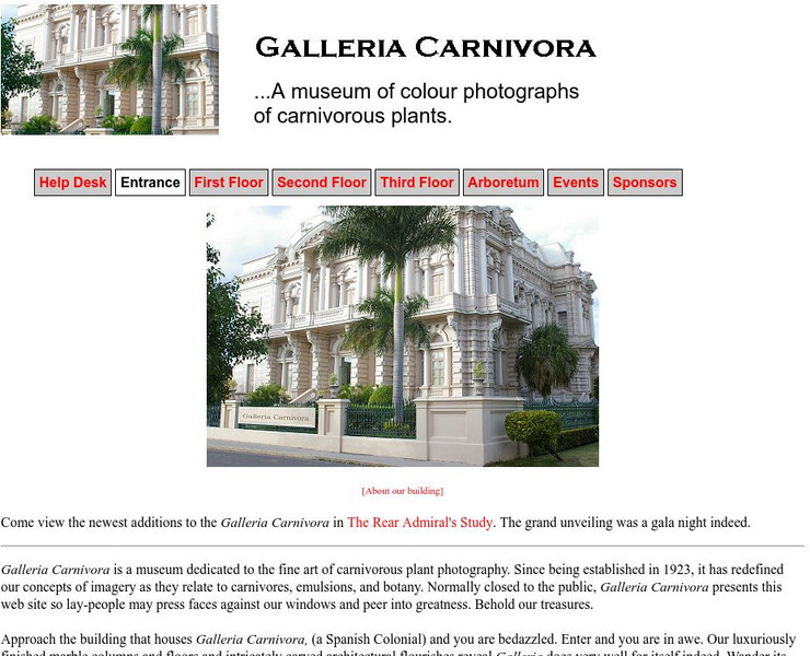 Galleria Carnivora Graphic Galleria Carnivora Graphic