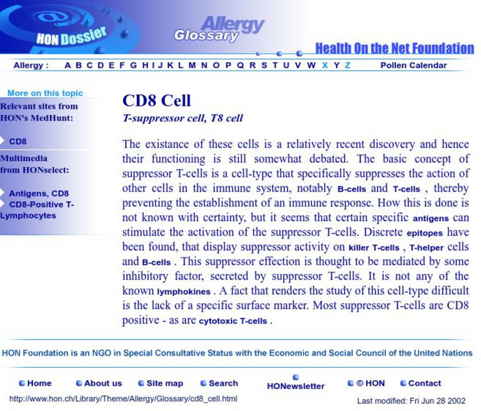 Hon: Cd8 Cell Handout