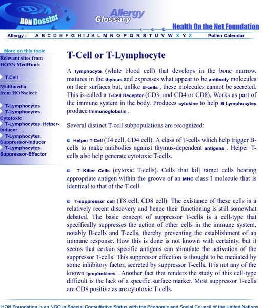 Hon: T Cell or T Lymphocyte Handout Hon: T Cell or T Lymphocyte Handout