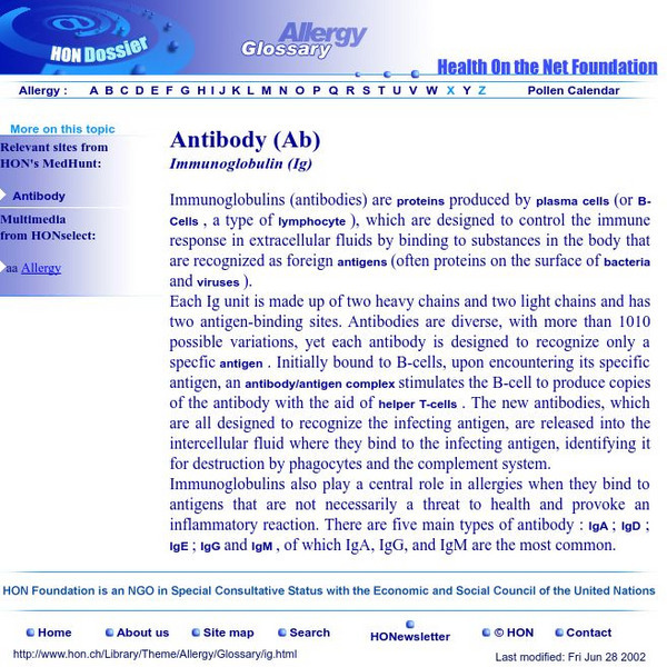 Hon Allergy Glossary: Antibody (Ab) Handout Hon Allergy Glossary: Antibody (Ab) Handout