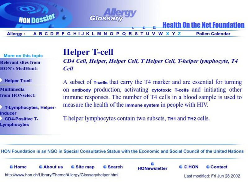 Hon: Helper T Cell Handout Hon: Helper T Cell Handout