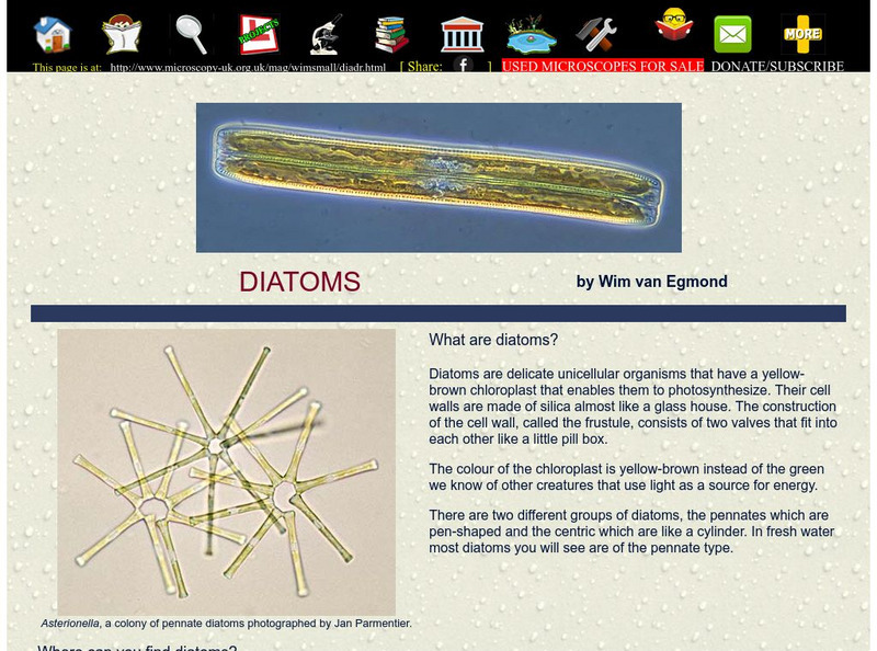 Microscopy Uk: Diatoms Handout Microscopy Uk: Diatoms Handout
