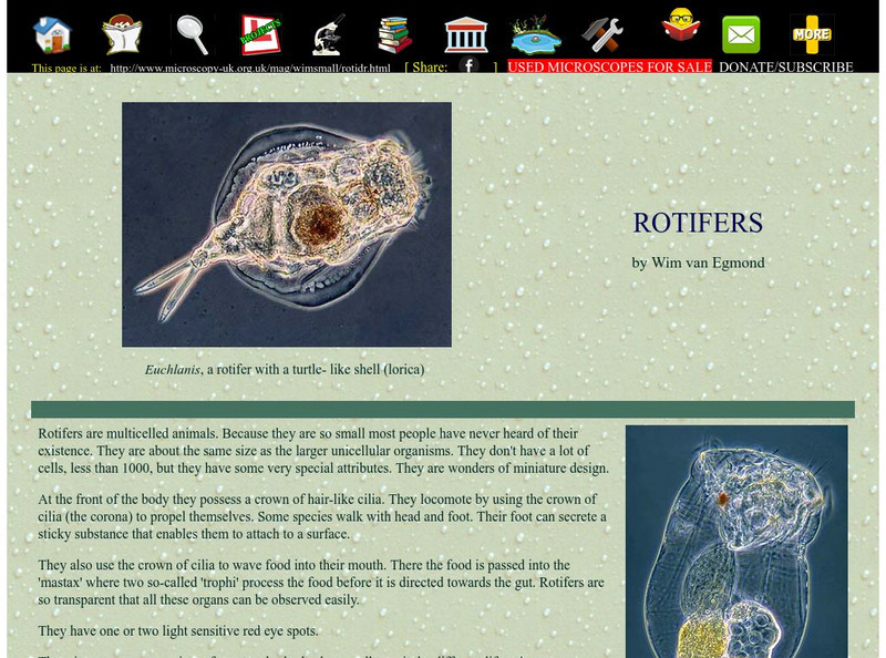 Microscopy Uk: Rotifers Handout Microscopy Uk: Rotifers Handout