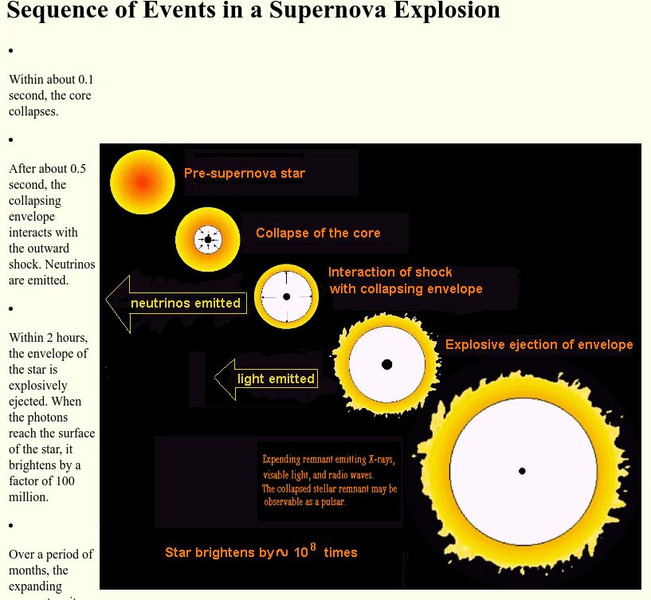 Cornell University: Astronomy: Sequence of Events in a Supernova Explosion Graphic Cornell University: Astronomy: Sequence of Events in a Supernova Explosion Graphic
