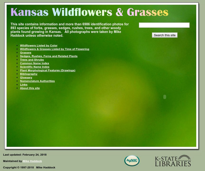 Kansas Wildflower and Grasses Handout
