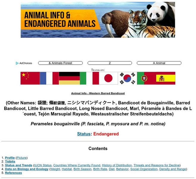 Animal Info: Western Barred Bandicoot Handout Animal Info: Western Barred Bandicoot Handout