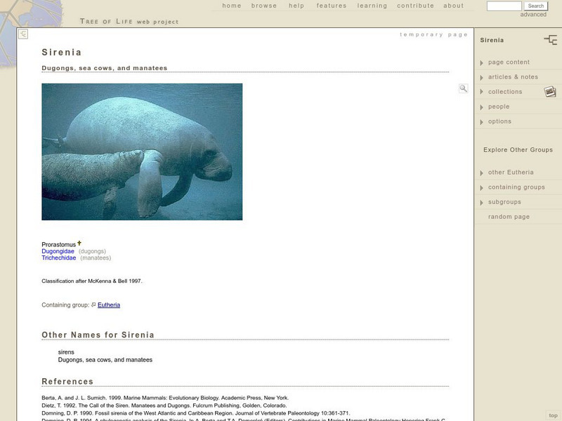 Tree of Life: Sirenia (Dugongs, Sea Cows, and Manatees) Graphic Tree of Life: Sirenia (Dugongs, Sea Cows, and Manatees) Graphic