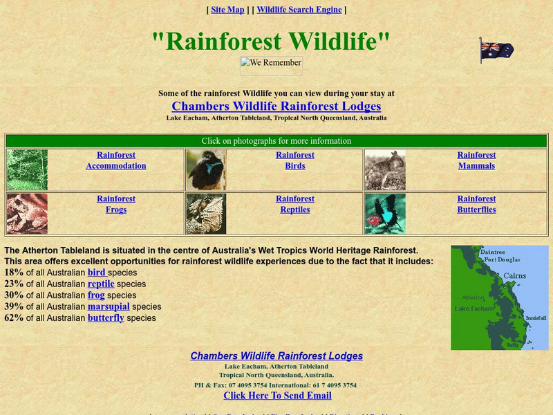 Australian Rainforest Wildlife Website