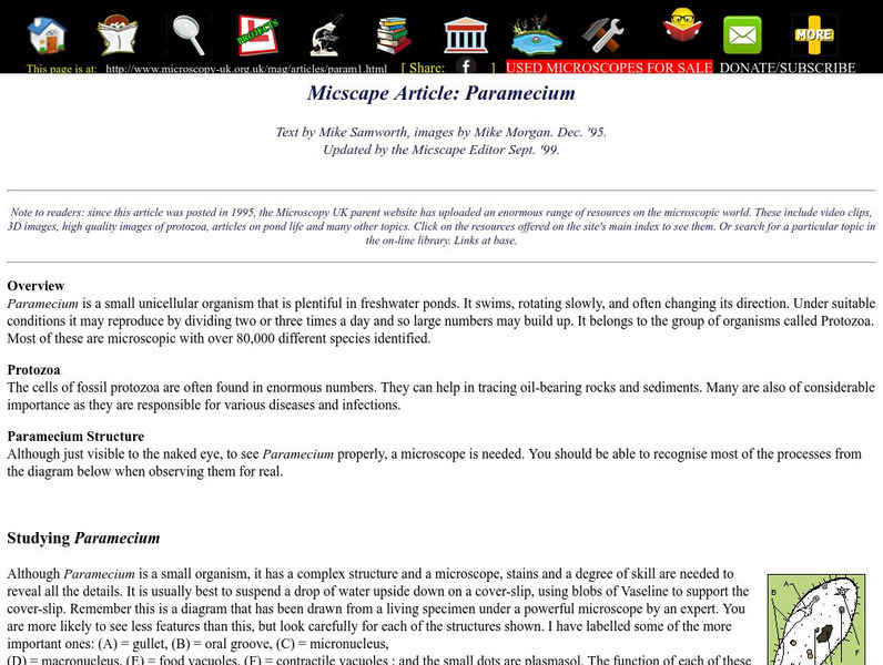 Microscopy Uk: Micscape Article Paramecium Handout Microscopy Uk: Micscape Article Paramecium Handout