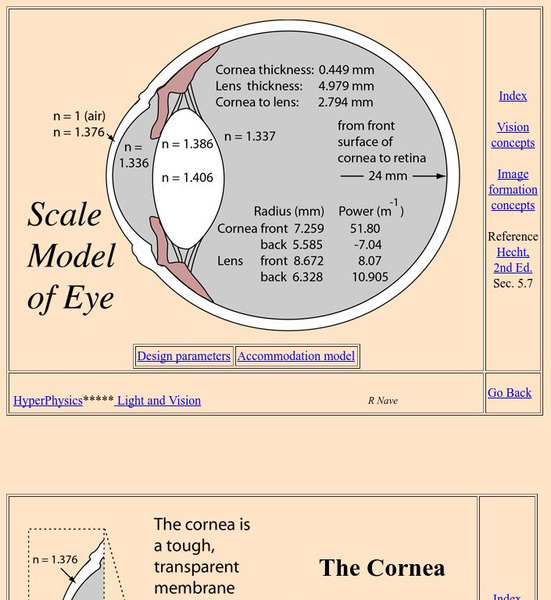 Georgia State University: Hyper Physics: Scale Model of Human Eye Handout Georgia State University: Hyper Physics: Scale Model of Human Eye Handout