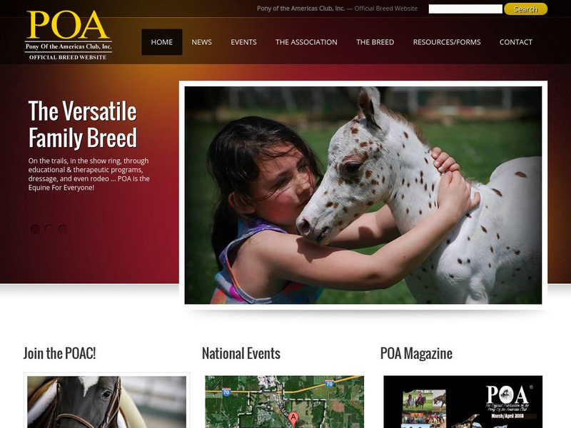 Pony of the Americas Club Website