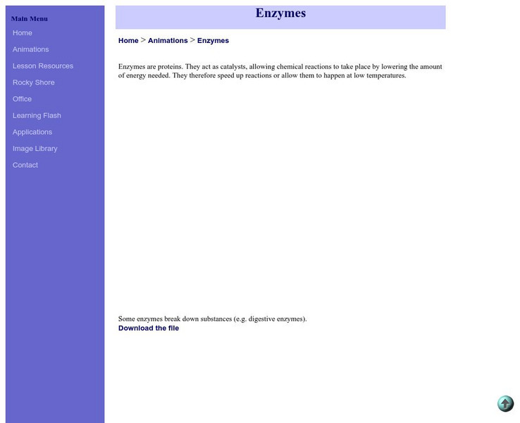 K Science: Enzymes Activity