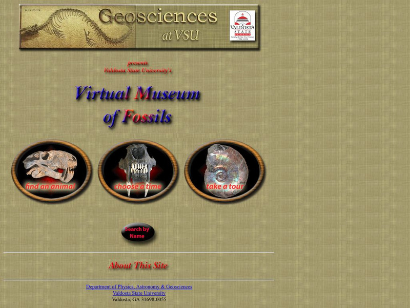 Valdosta State University: Virtual Museum of Fossils Graphic Valdosta State University: Virtual Museum of Fossils Graphic