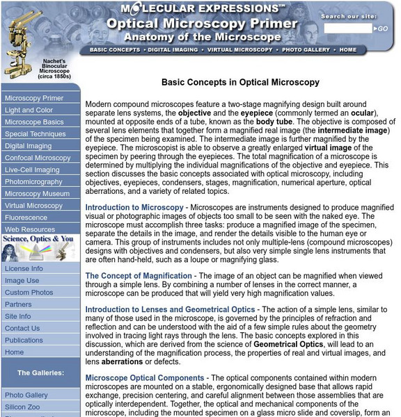 Florida State University: Microscopy Primer: Anatomy of the Microscope Website Florida State University: Microscopy Primer: Anatomy of the Microscope Website