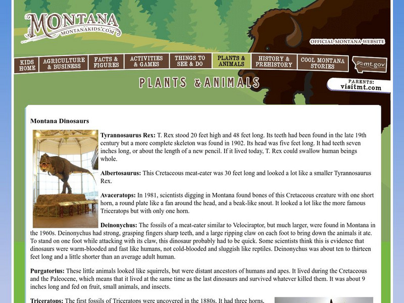 Travel Montana: Montana Kids: Montana Dinosaurs Website Travel Montana: Montana Kids: Montana Dinosaurs Website
