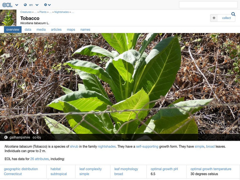 Encyclopedia of Life: Tobacco Handout