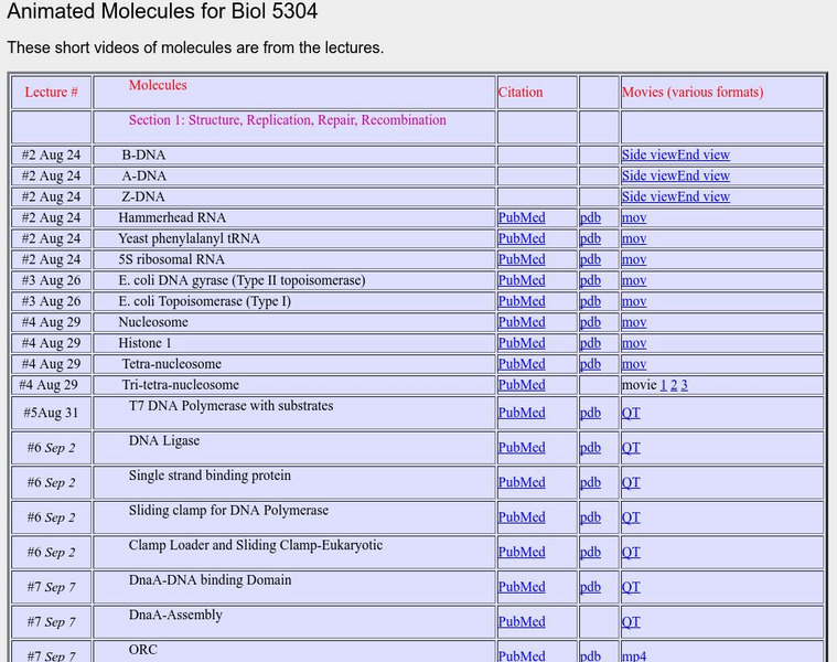 Southern Methodist University: Animated Molecules Instructional Video Southern Methodist University: Animated Molecules Instructional Video