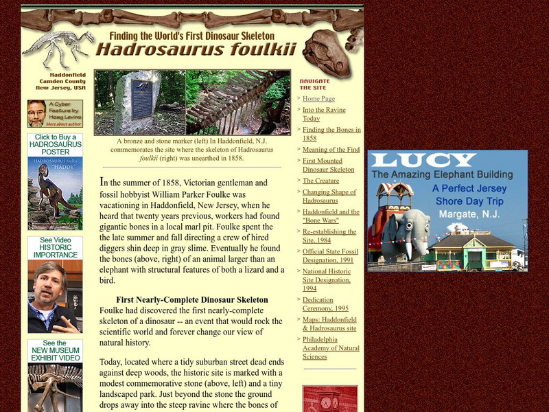 Hadrosaurus.com: Finding the World's First Dinosaur Skeleton:hadrosaurus Foulkii Website Hadrosaurus.com: Finding the World's First Dinosaur Skeleton:hadrosaurus Foulkii Website