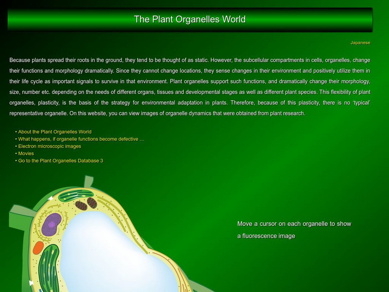 National Institute for Basic Biology: The Plant Organelles World Graphic National Institute for Basic Biology: The Plant Organelles World Graphic