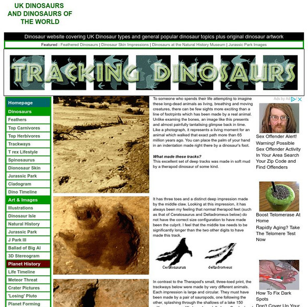 Dinosaur and Planetary History: Tracking Dinosaurs Handout