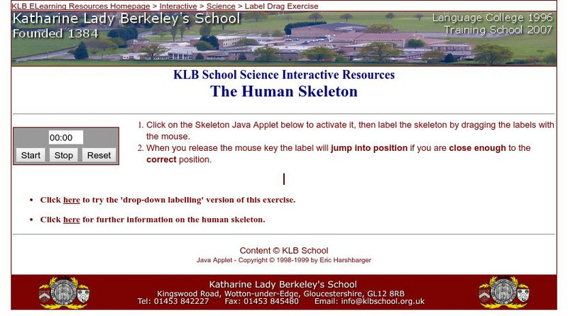 Katharine Lady Berkeley's School: The Human Skeleton Interactive Katharine Lady Berkeley's School: The Human Skeleton Interactive