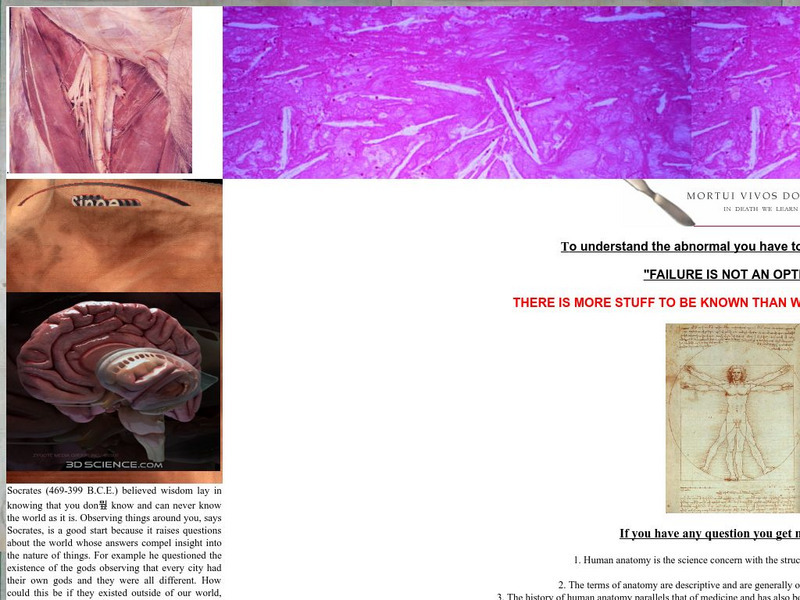 Danil Hammoudi, Md: Anatomy and Physiology Course Website Danil Hammoudi, Md: Anatomy and Physiology Course Website